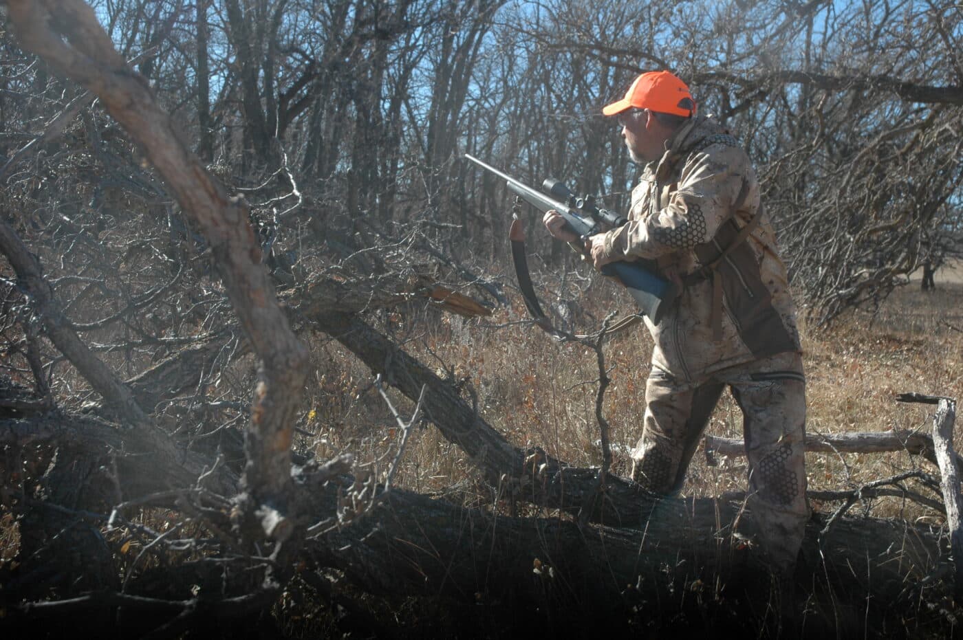 rifle shot on a whitetail deer