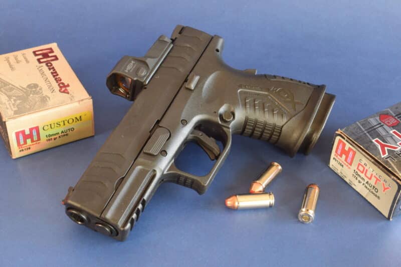 Handguns for Bear Defense Will Any of Them Stop the Threat? The