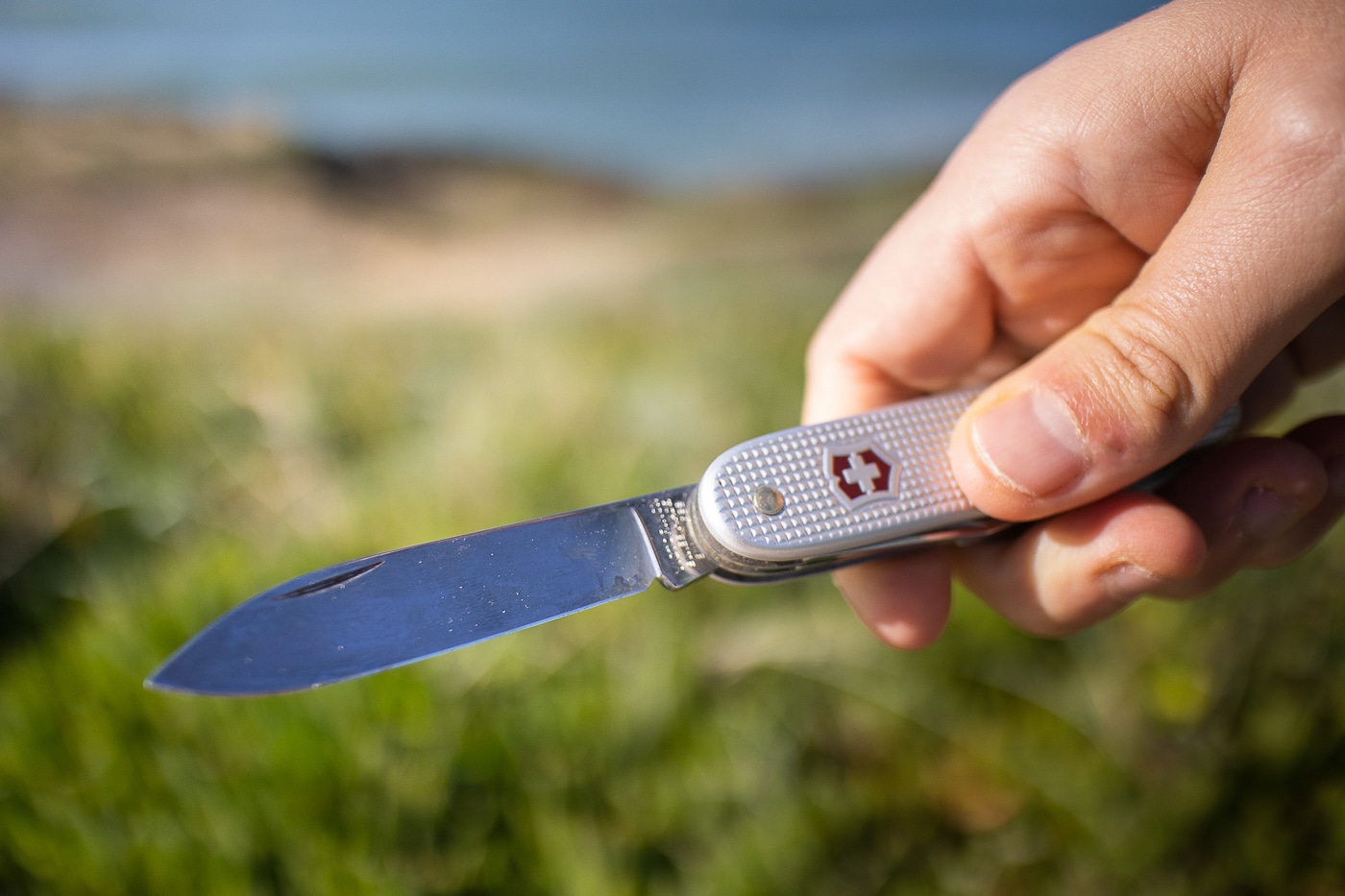 knife blade on victorinox farmer alox