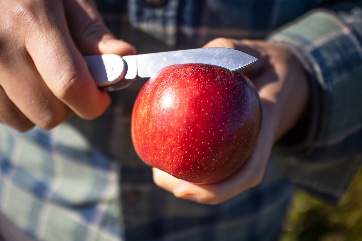 victorinox farmer alox cutting an apple