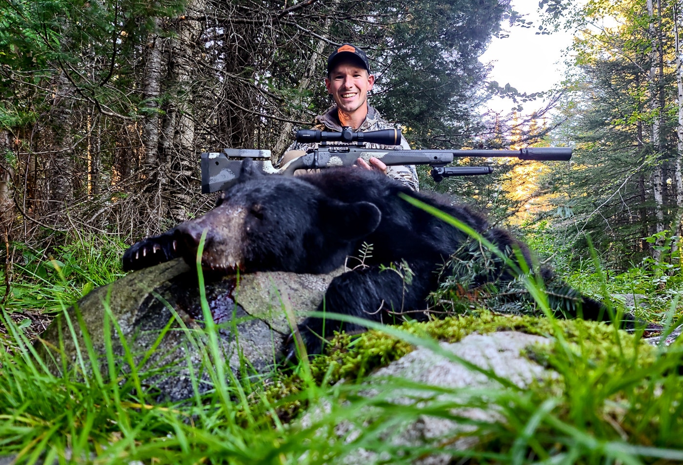 black bear hunting with springfield waypoint 2020