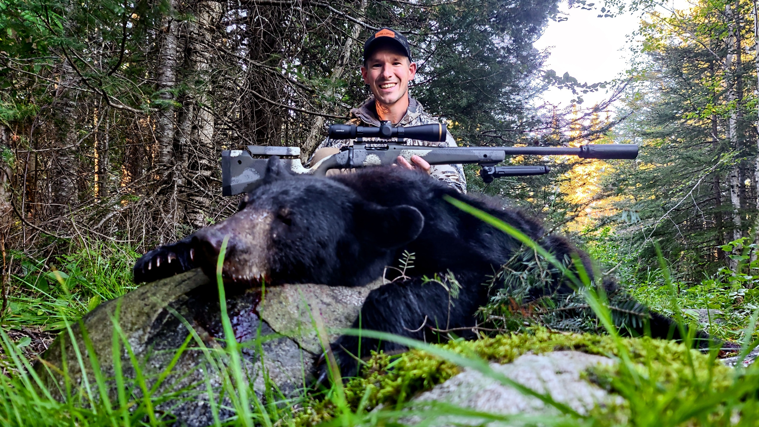 Black Bear Hunting with the Springfield Model 2020 Waypoint - The Armory  Life