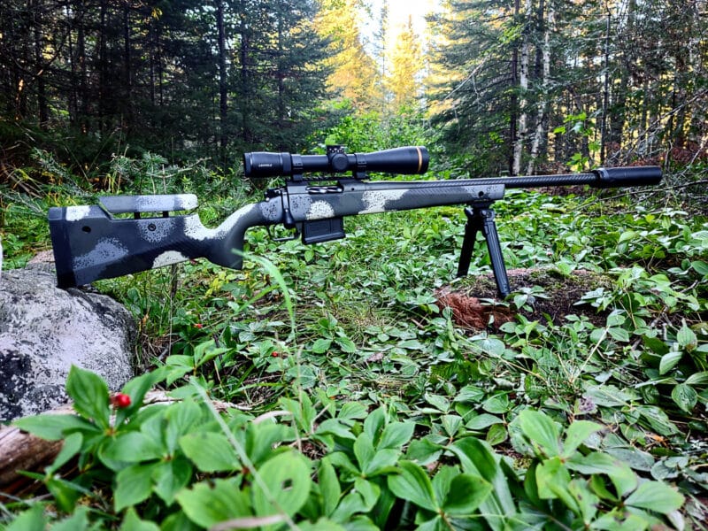 Springfield Hunting Rife Black Bear Hunting with the Springfield Model 2020 Waypoint - The ...