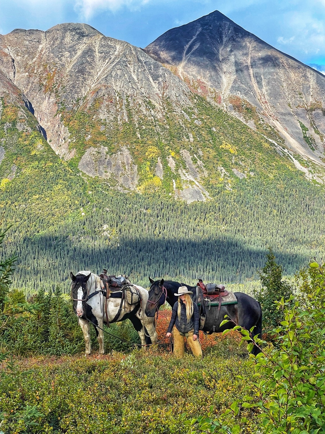 alaska moose hunt