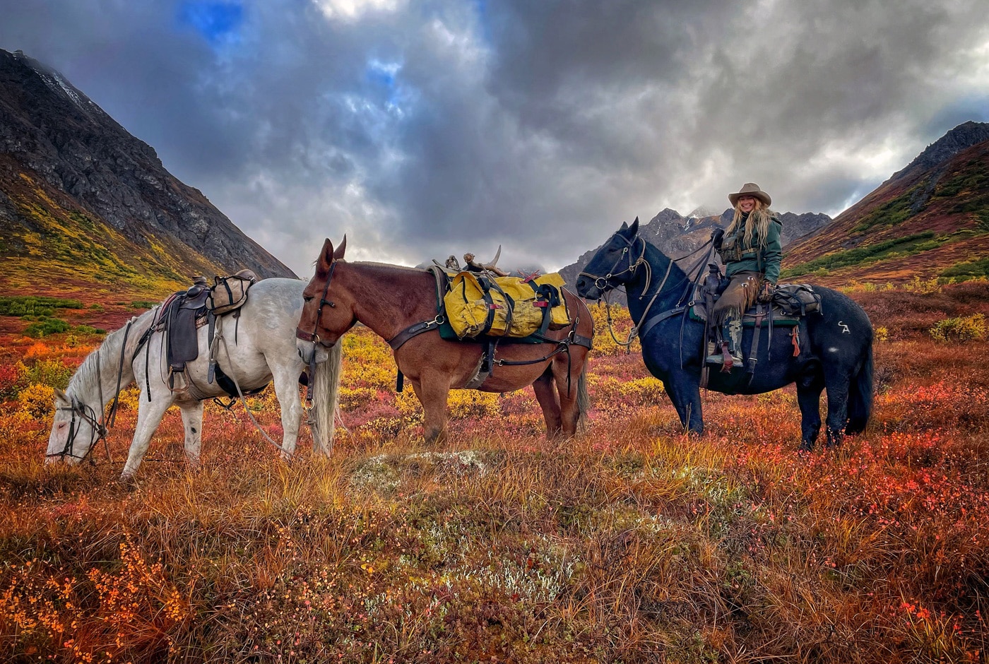 author going on a moose hunt in alaska