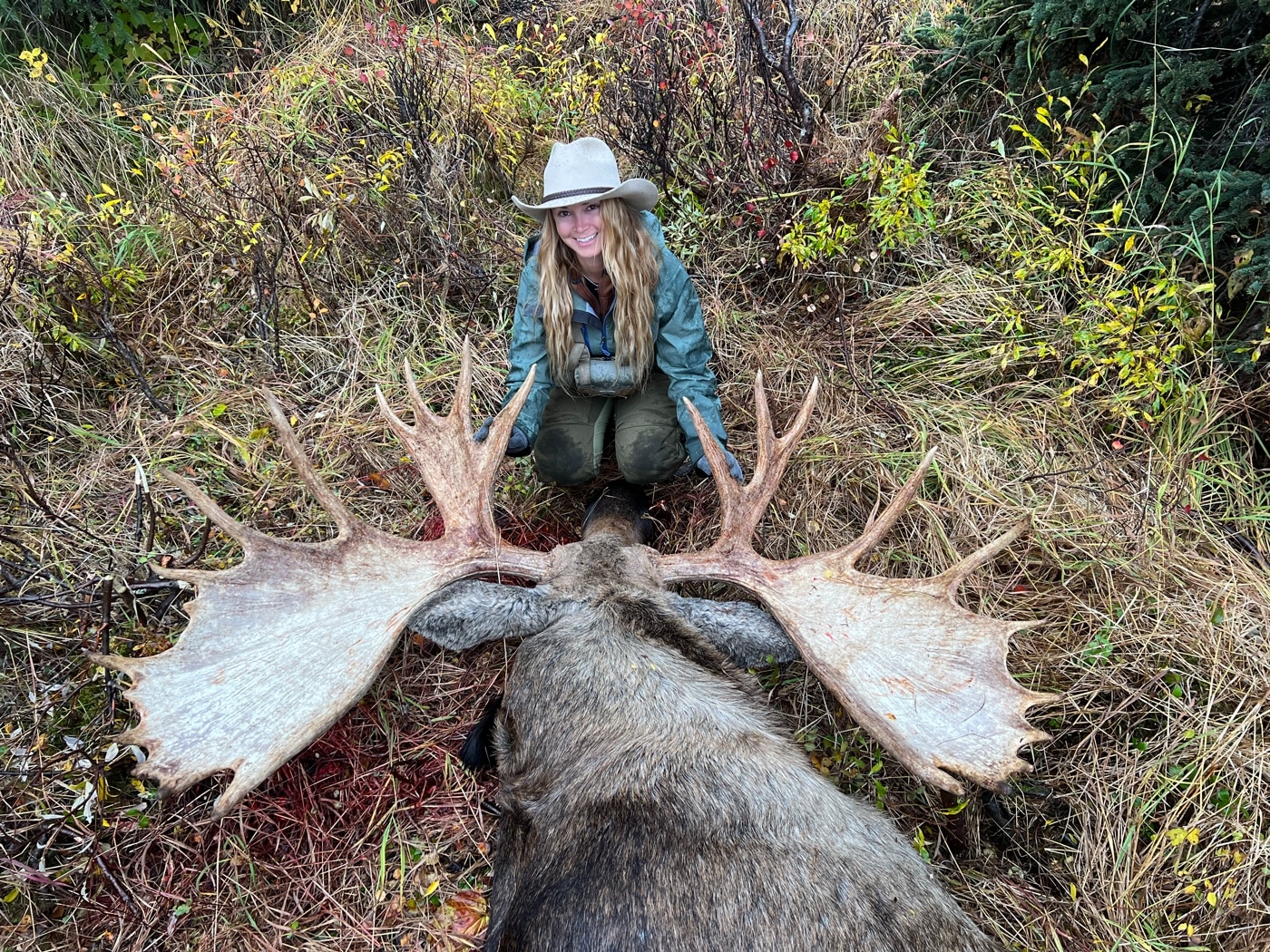 moose rack hunting