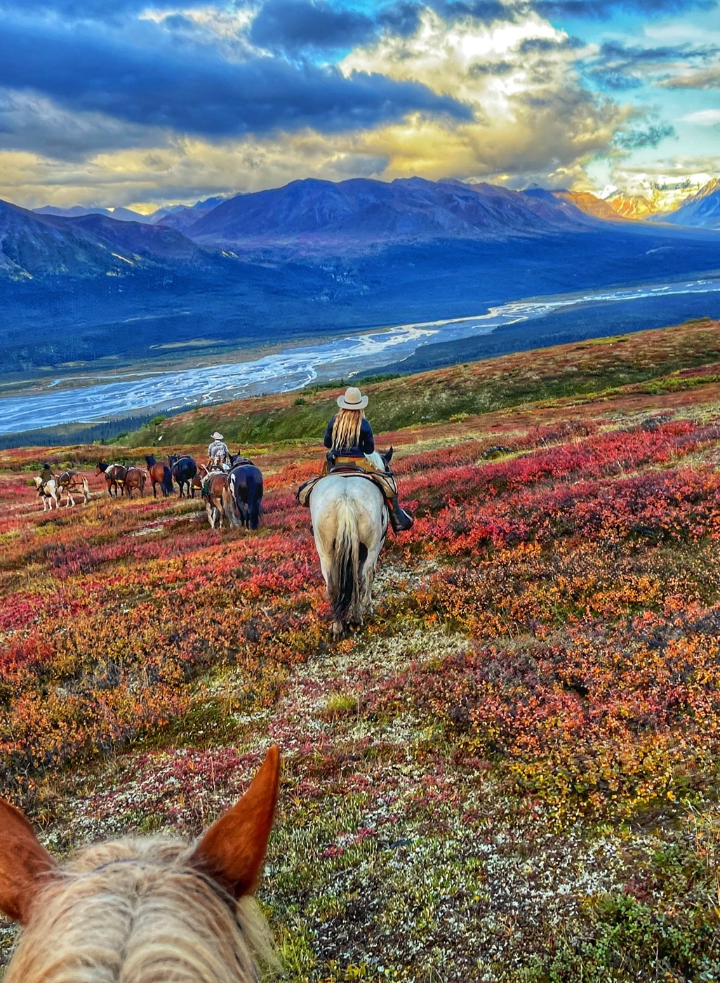 on the trail of moose in Alaska