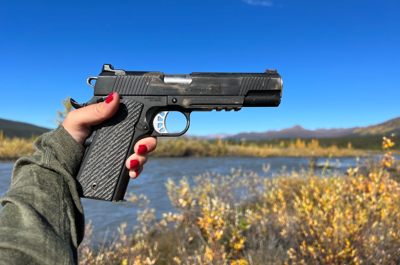 springfield 1911 on a moose hunt