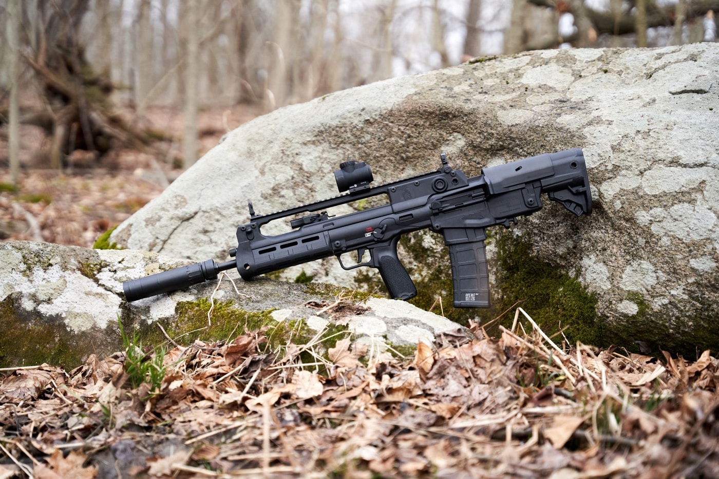 evaluation of the springfield hellion review