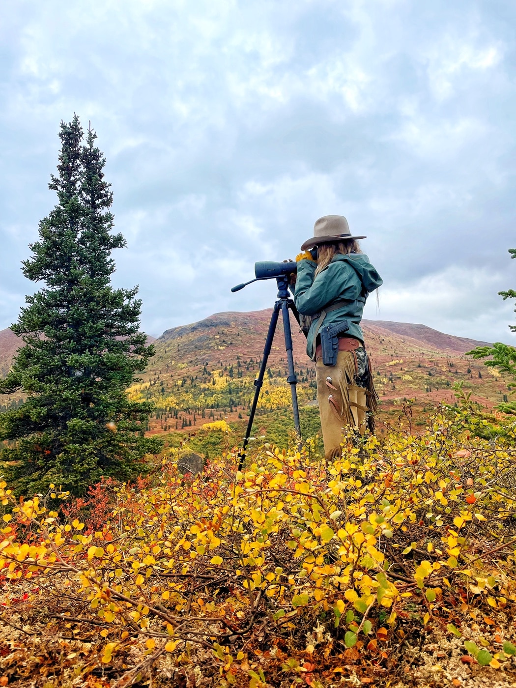 bridget fabel grizzly bear 3