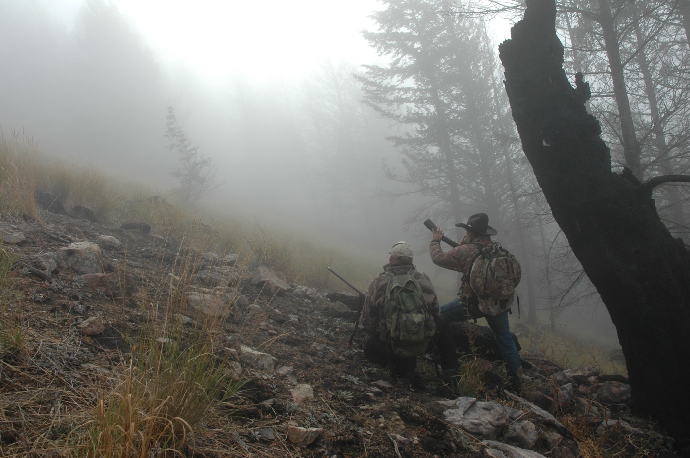 field testing the blackhound scope