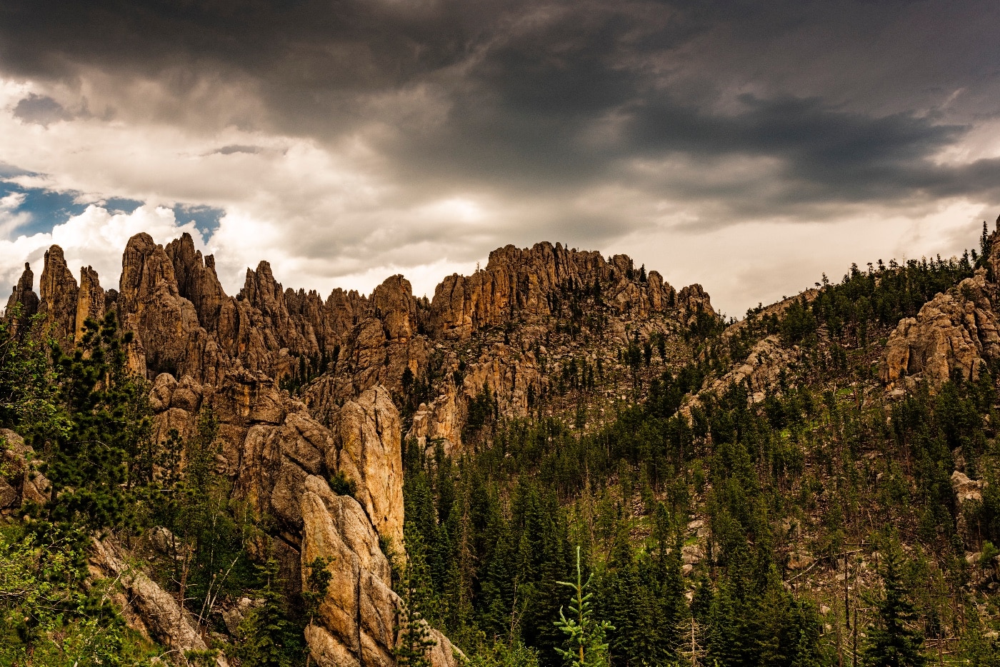 black hills area of south dakota