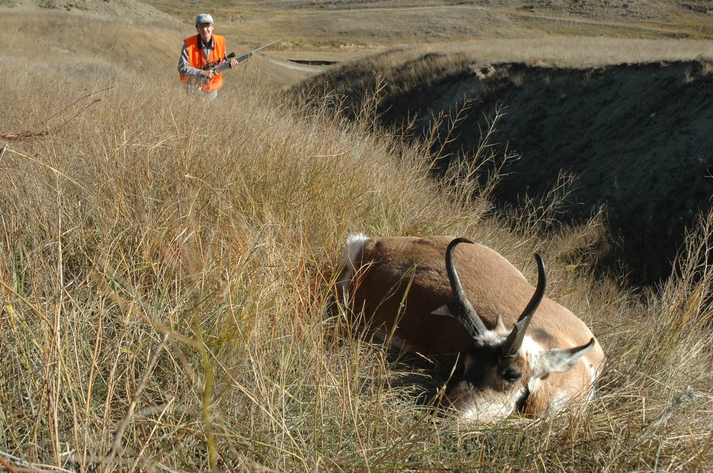 hunting pronghorn