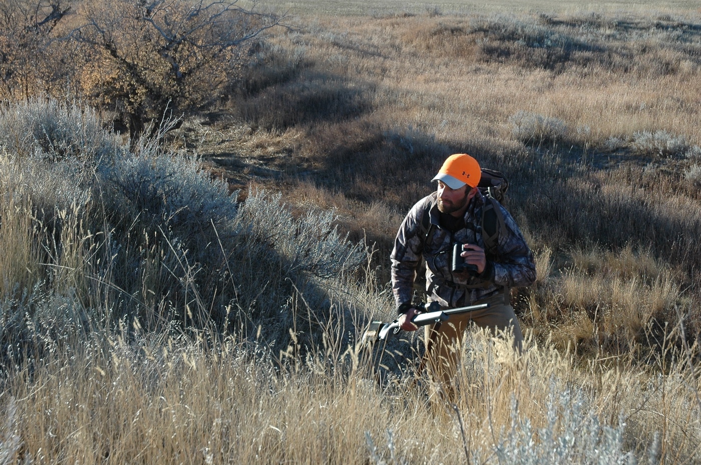 hunting the wind