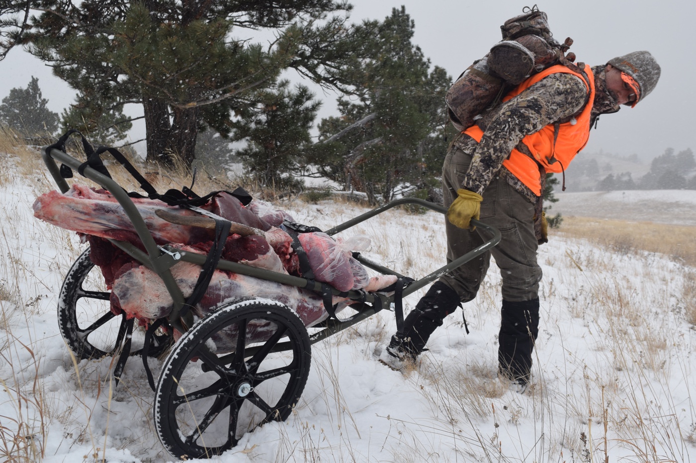 plan how to carry out elk meat