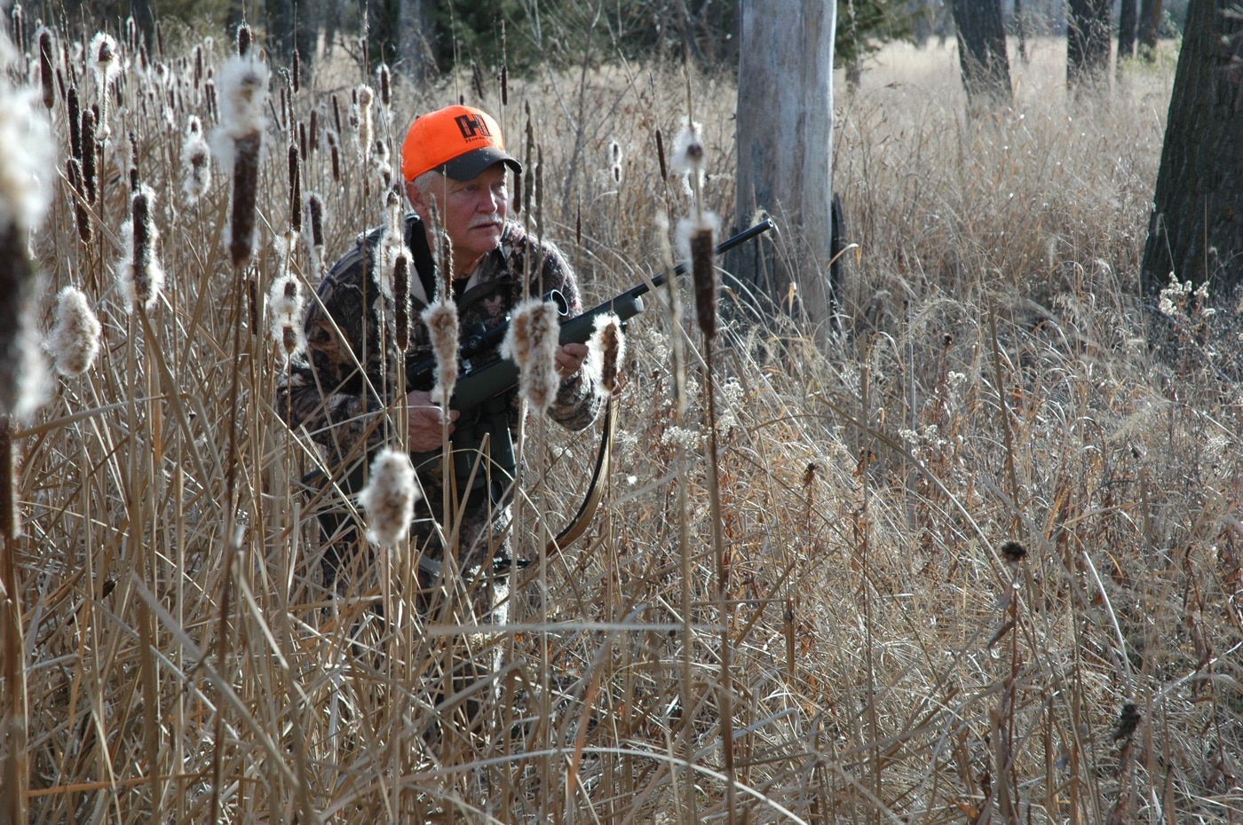 hunting briars and cattails for deer