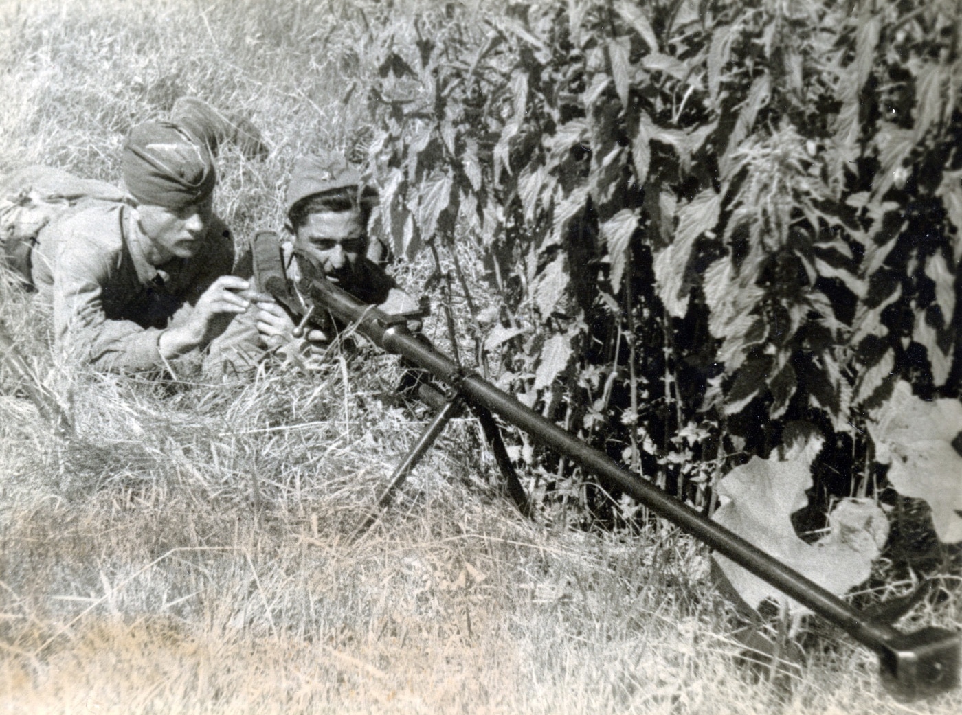 soviet anti tank rifle team with ptrd-41