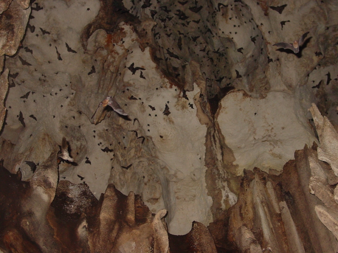 cave used by japanese commanders on peleliu