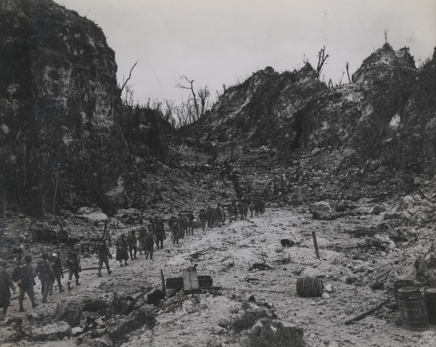 column of marines moves inland on peleliu