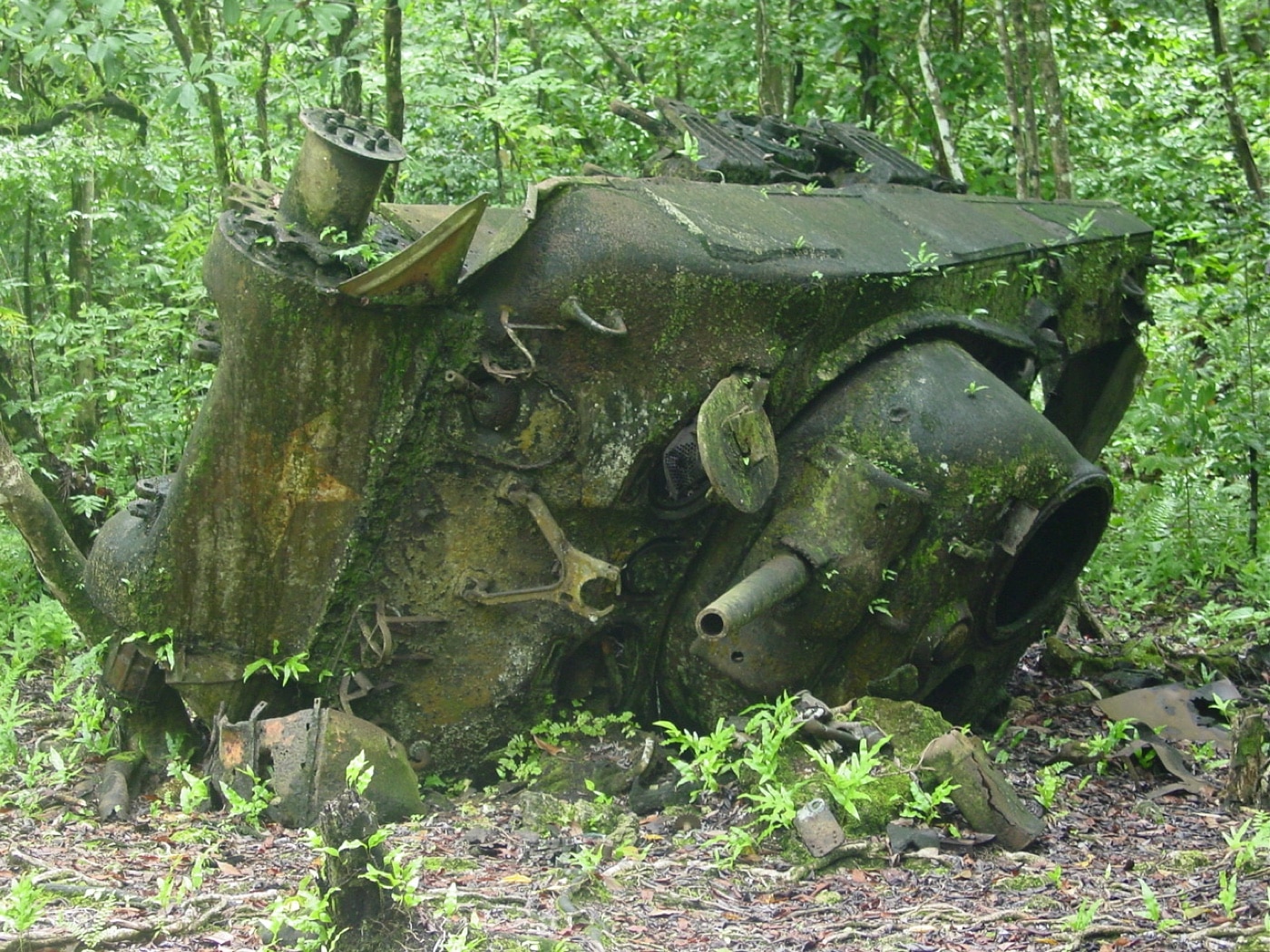 destroyed m4 sherman tank on peleliu