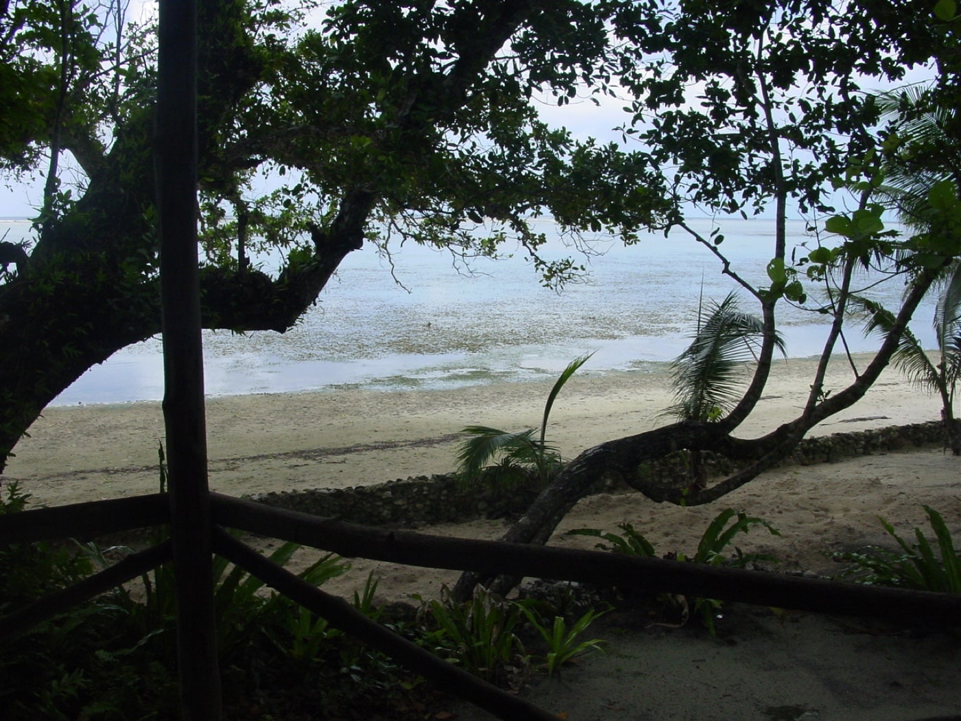 view from orange beach 3 on peleliu island