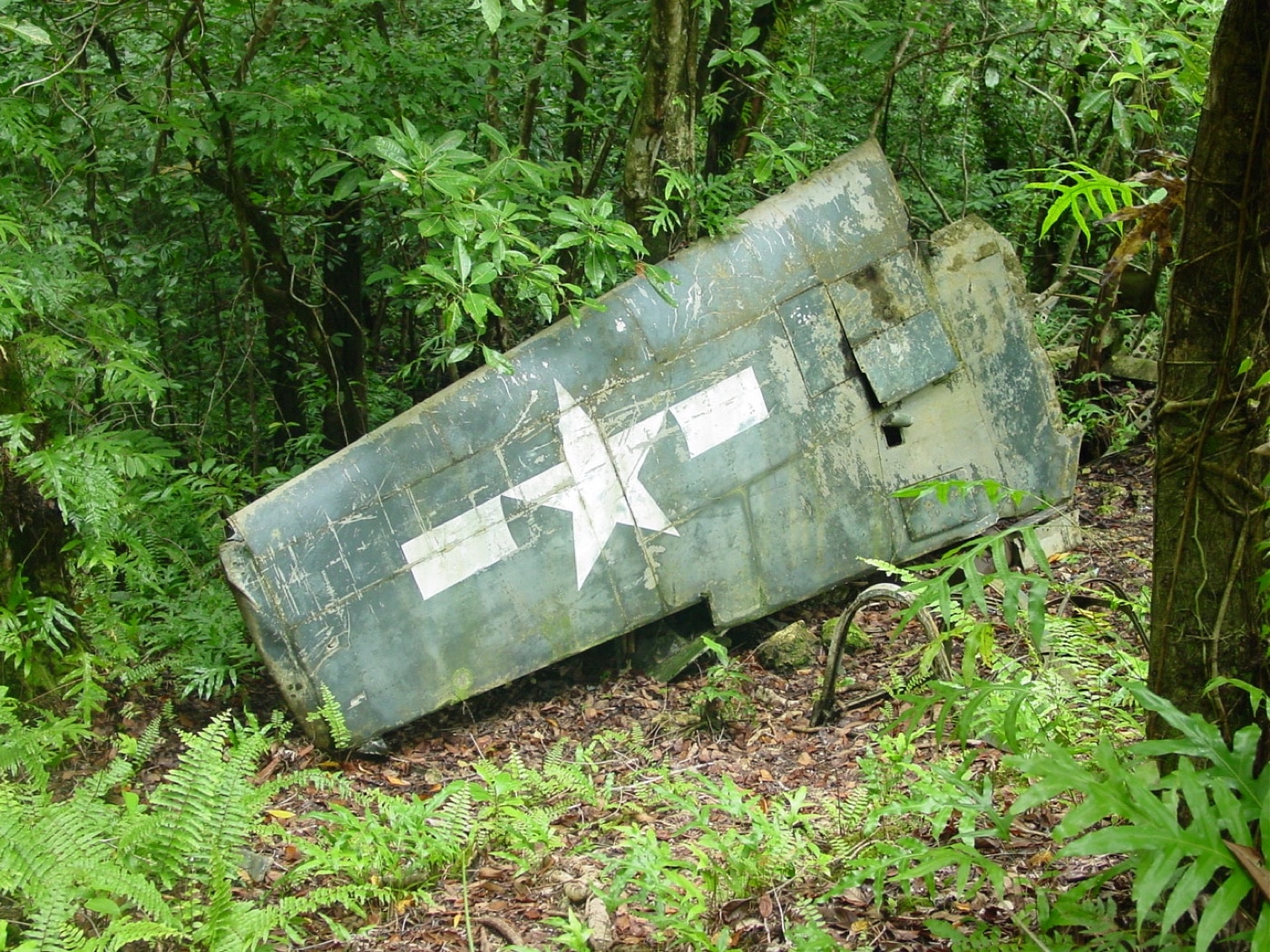 wing of us aircraft on peleliu