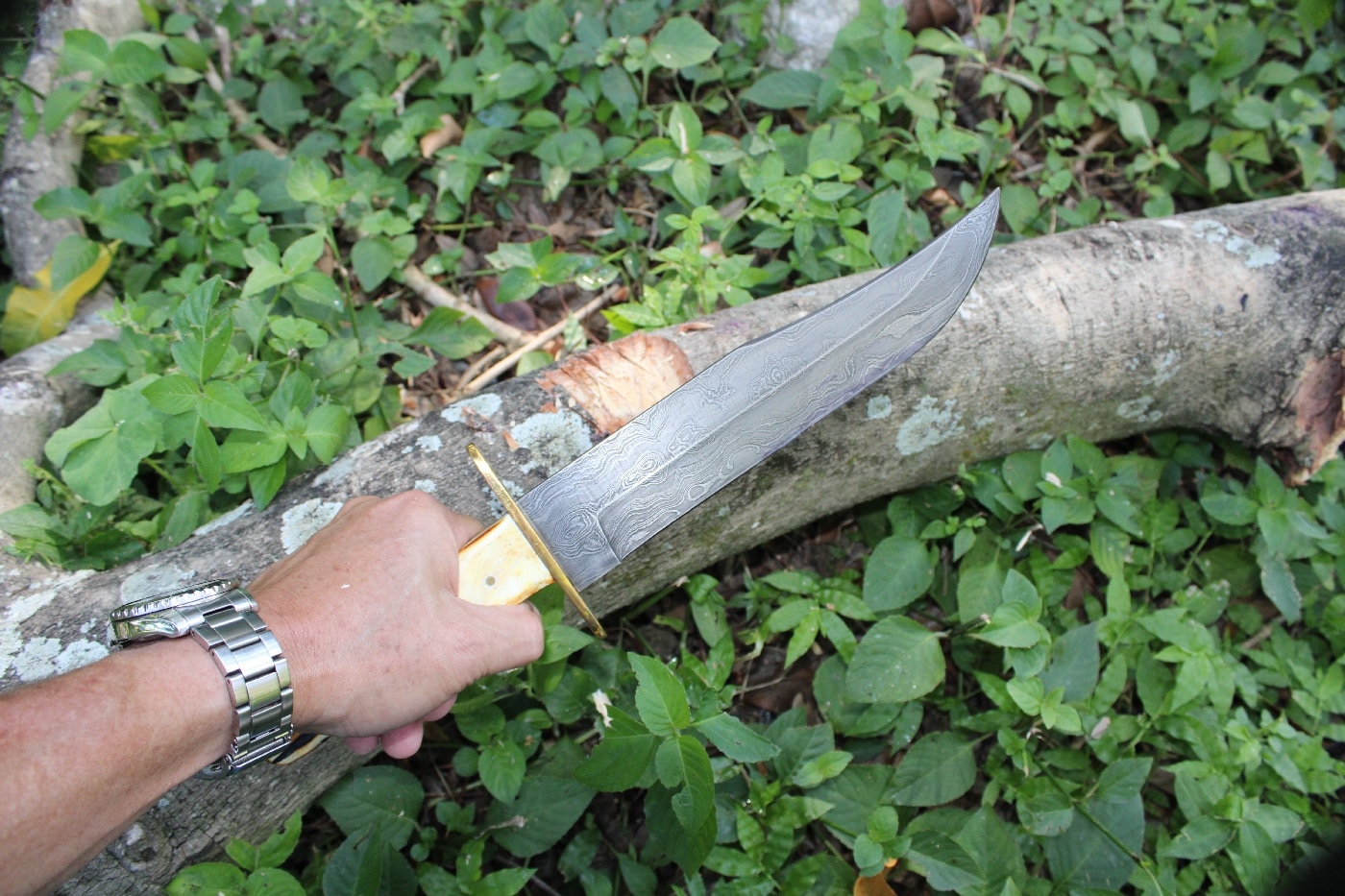 author testing bear and son bowie knife