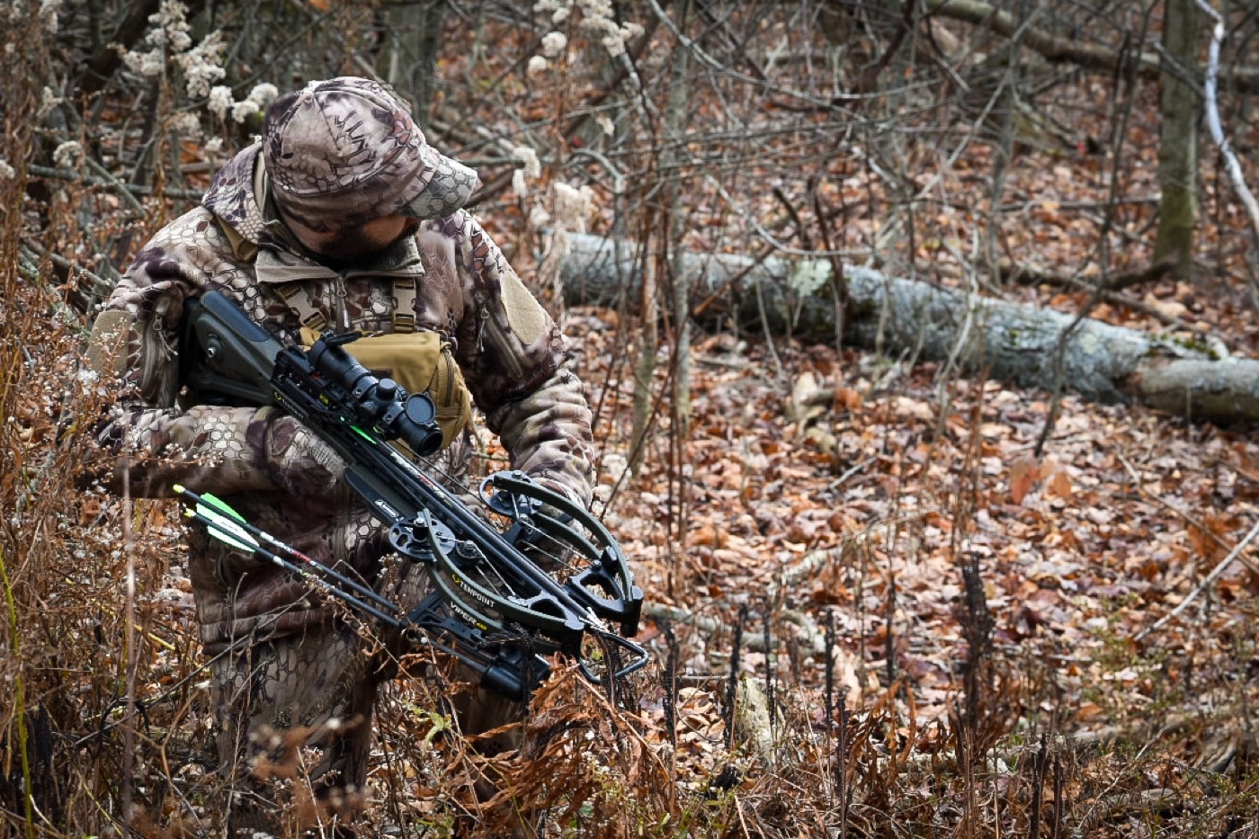 crossbow hunting in pennsylvania woods