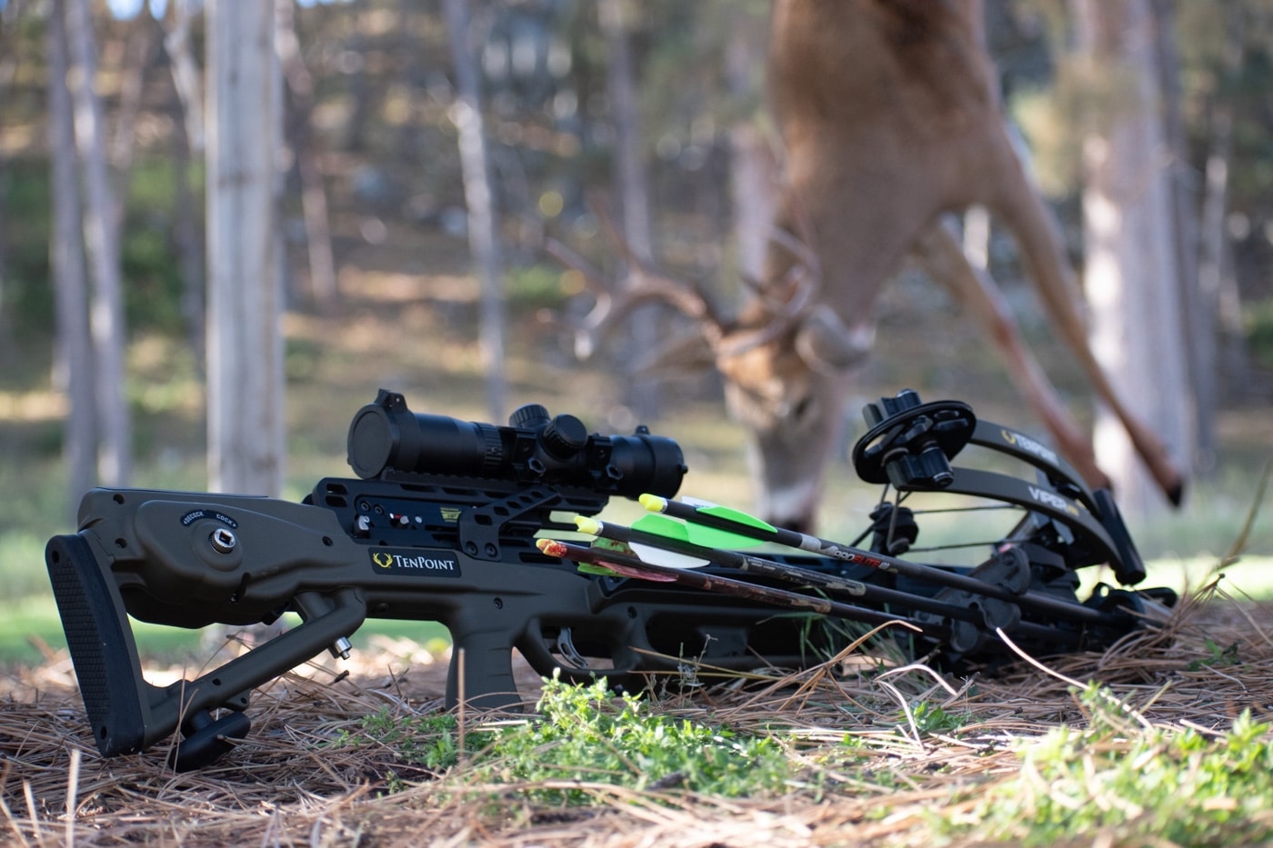 tenpoint crossbow hunting woods deer