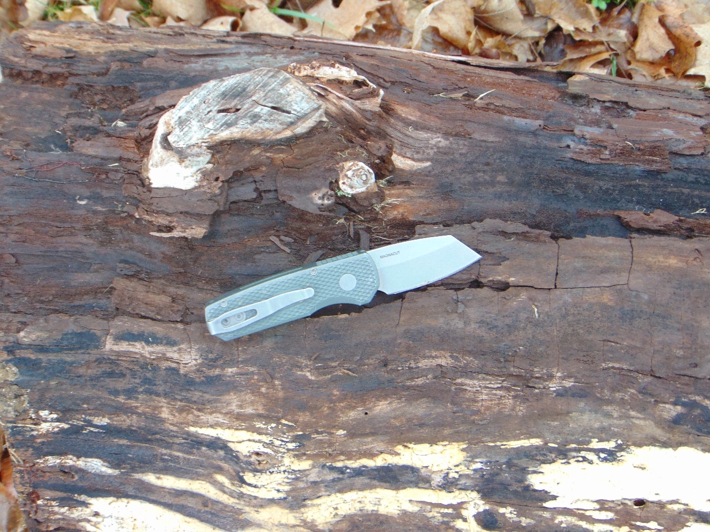 In this photo, the author shows the overall length of the knife with an open blade. The sharp knife lies on a pine log in the forrest. The knife's texture is plainly visible making for an interesting take on their classic Runt knife design. The author found the knife was an excellent performer in testing. If customer reviews are to be believed, a lot of people like it. Similar to the classic Runt model, the sub-two-inch blade is the perfect size at 1.96-inch.