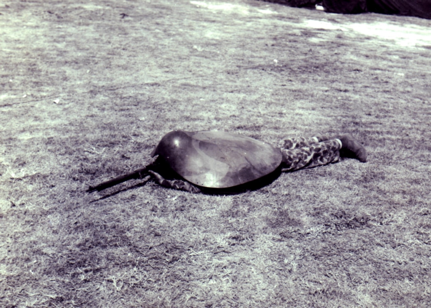 In this digital photograph, we see a U.S. Marine testing a turtle shell style of armor used by Japanese snipers in the Second World War. Japanese soldiers used light armor throughout the war - especially on the Japanese home islands. This style of armor could offer protection from shrapnel and low velocity rounds. 