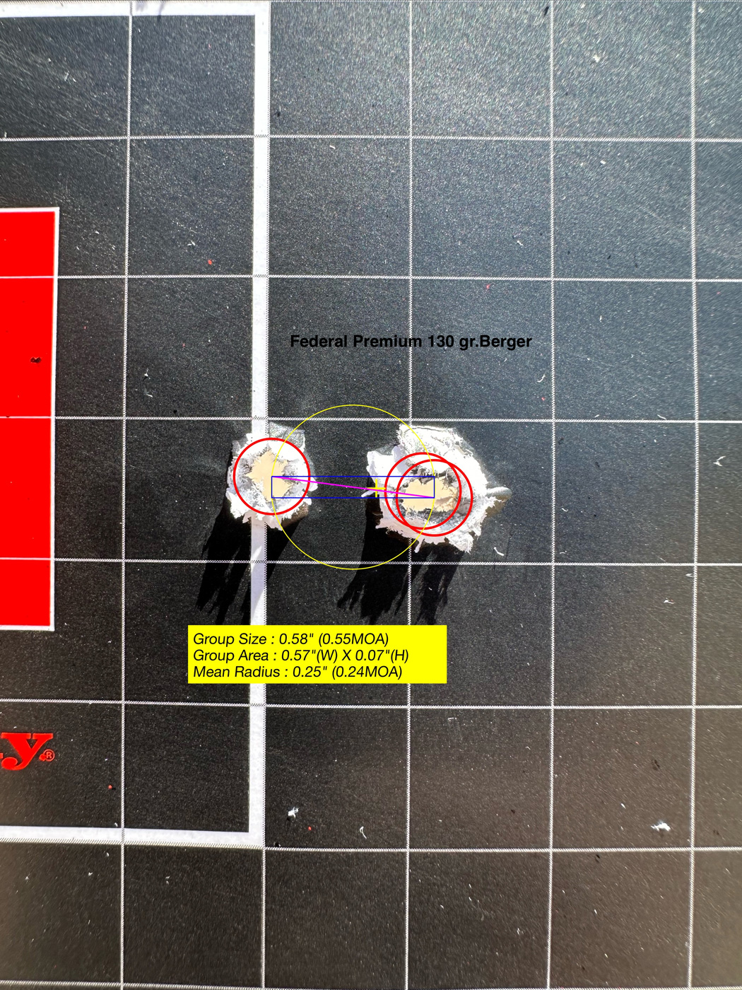 Federal Premium match ammo testing
