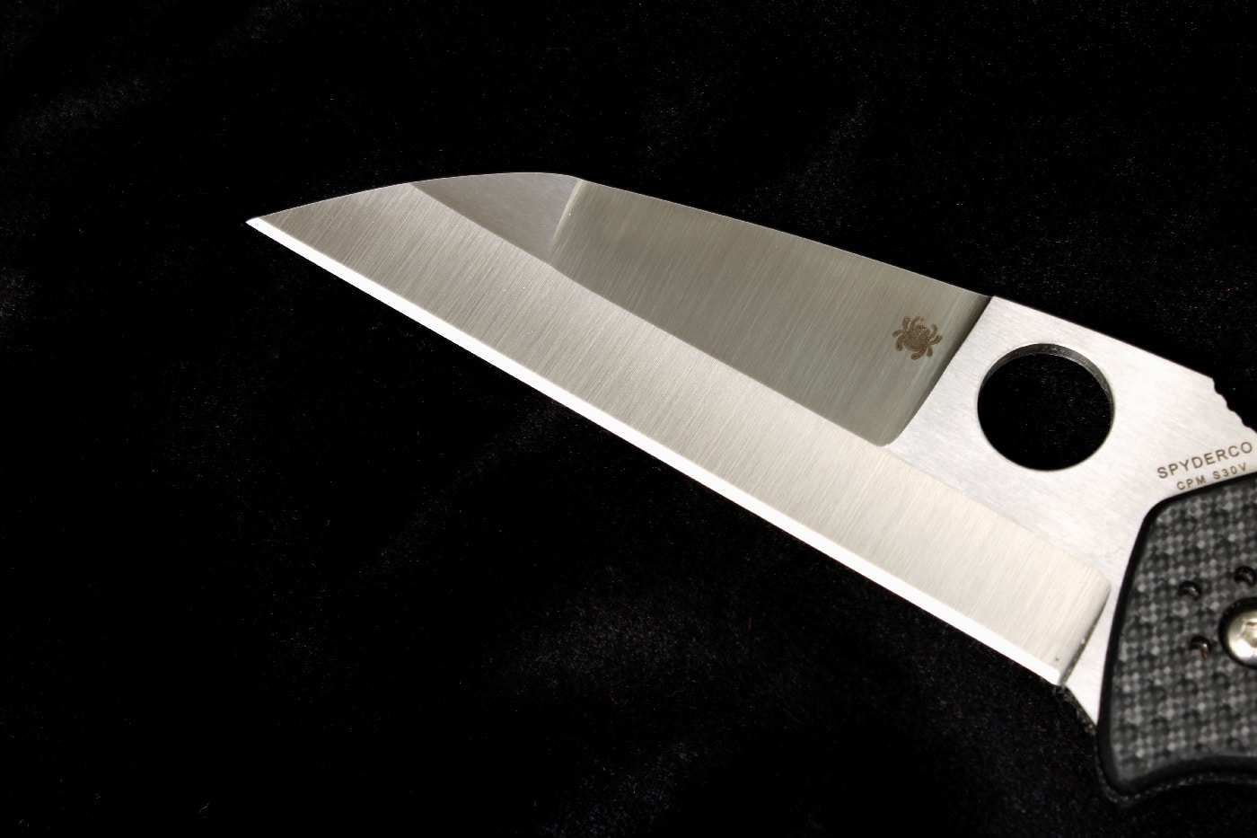 Spyderco Canis knife blade