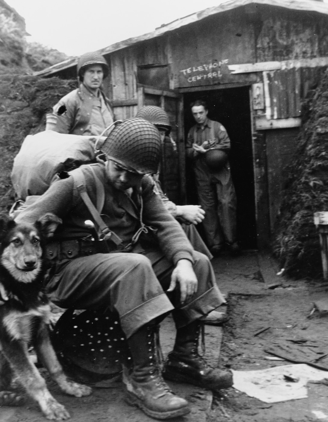 US troops befriend a dog on Kiska