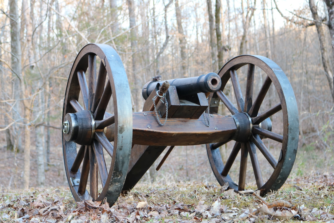 author cannon made at home in how to make a cannon article