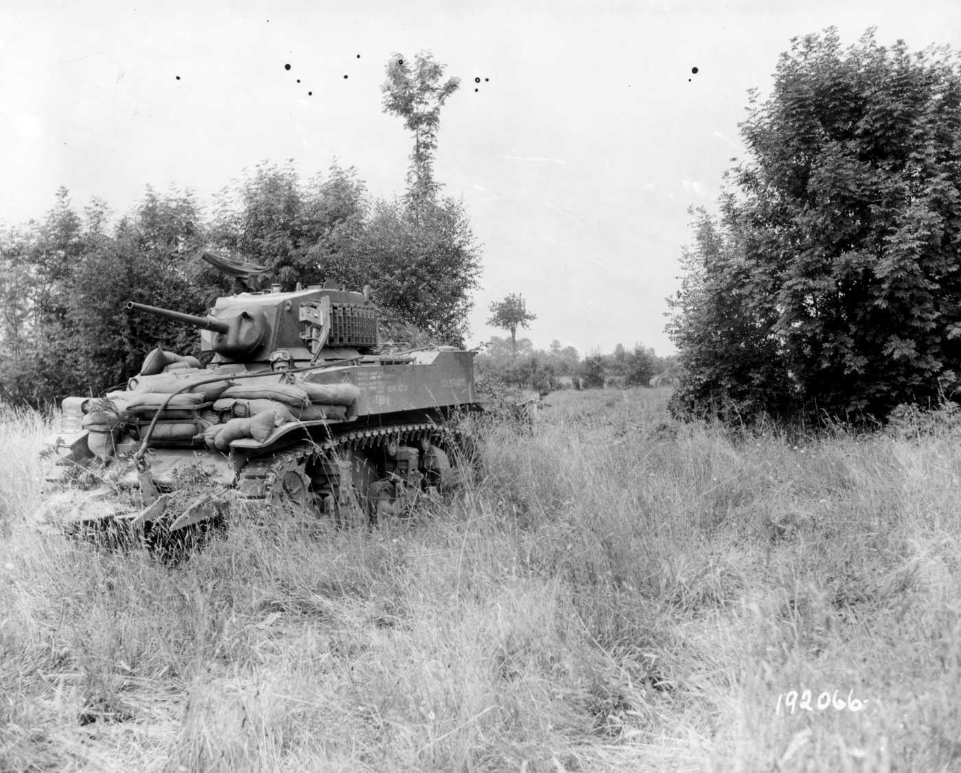 M5A1 Stuart of 709th Tank Battalion on 8th Infantry Division in Normandy