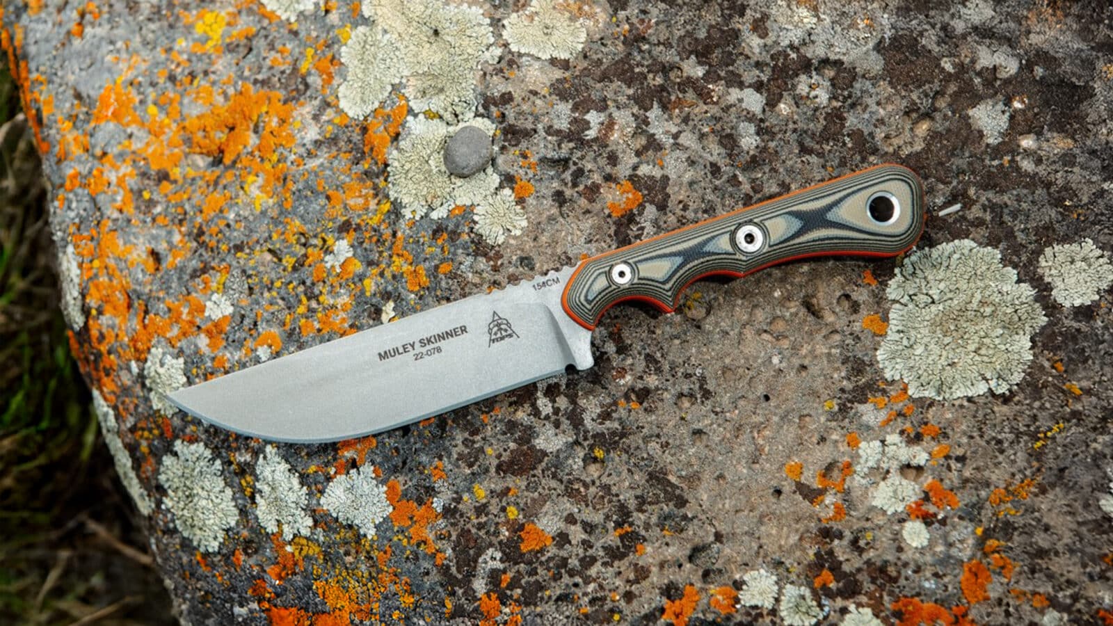 Review: TOPS Muley Skinner Knife