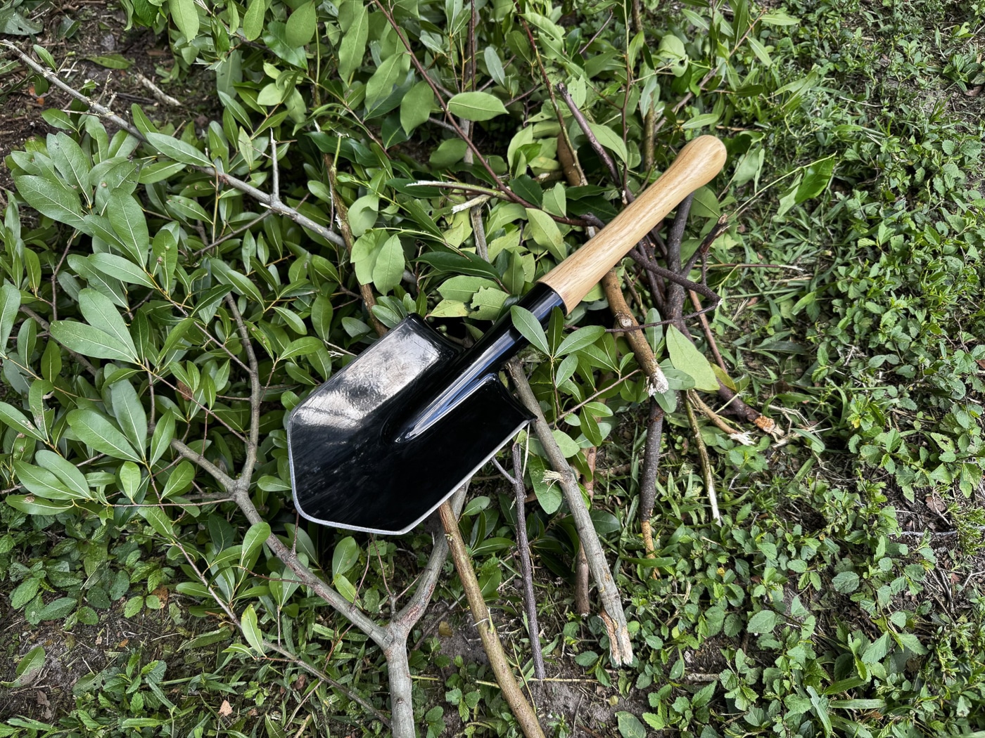 The Cold Steel Special Forces Shovel lying horizontally on top of a pile of freshly cut tree branches. The carbon steel blade, coated black with sharpened edges, is visible in contrast to the wood. The smooth hickory handle runs across the greenery, showing the tool’s compact 20-inch length. The cut ends of the branches suggest the shovel was used as a chopping tool during field testing. The pile is dense, with mixed twig and limb sizes, demonstrating its ability to handle light to medium woodcutting. The scene emphasizes the shovel’s versatility beyond digging.