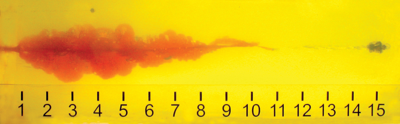Photograph showing Hornady plus P defensive ammunition performance results in ballistic gelatin tissue simulant demonstrating expansion and penetration characteristics. Ballistic testing reveals how higher pressure ammunition performs in controlled conditions simulating defensive scenarios. Plus P loads typically achieve enhanced hollow point expansion compared to standard pressure defensive ammunition. Gelatin testing provides measurable data on bullet penetration depth and expanded diameter after impact. Hornady plus P ammunition demonstrates improved terminal ballistics due to increased velocity from higher pressure loading. Testing in ballistic gelatin shows how overpressure defensive loads perform through barriers like heavy clothing. Plus P hollow points expand more reliably at higher velocities achieved through increased pressure specifications. Terminal ballistic performance testing helps shooters understand actual defensive ammunition capabilities in tissue simulant.