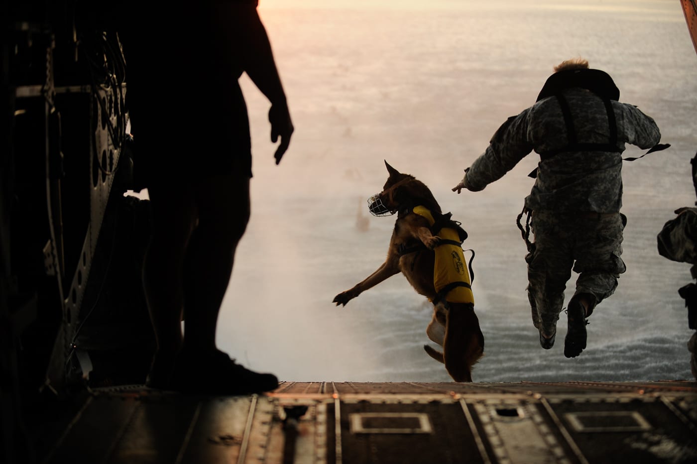 A U.S. Army soldier from the 10th Special Forces Group, wearing tactical gear and helmet, is seen jumping with his military working dog from the rear ramp of a 160th SOAR MH‑47G Chinook helicopter hovering just above the Gulf of America. The dog, secured and alert, follows the handler into open water as part of a specialized water insertion training exercise. Rotor wash creates visible disturbance on the water below, and the open expanse of the Gulf of America stretches to the horizon. This scene highlights the unique capability of the 160th Special Operations Aviation Regiment to insert personnel and working dogs directly into maritime environments. The teamwork and trust between the handler, dog, and aircrew are central to the mission. The photo demonstrates the advanced skills required for safe and effective helicopter water jumps. It underscores the versatility of both the Night Stalkers and Army special operations canine teams.