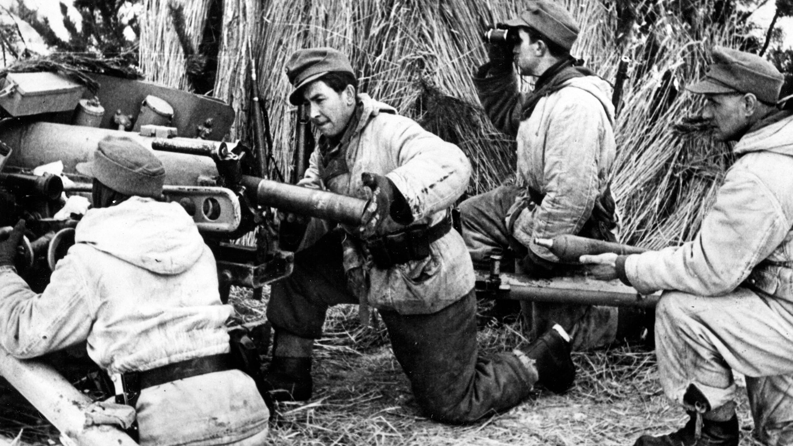 When the Allies Helped the Nazis Fight Russia When the Allies Helped the Nazis Fight Russia