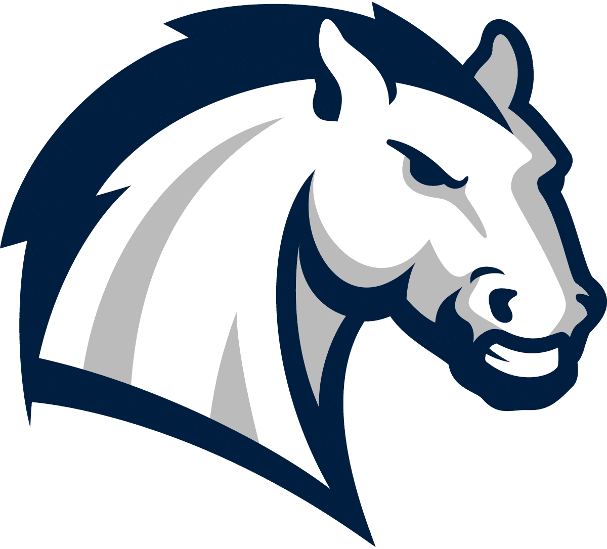 Hillsdale College Chargers