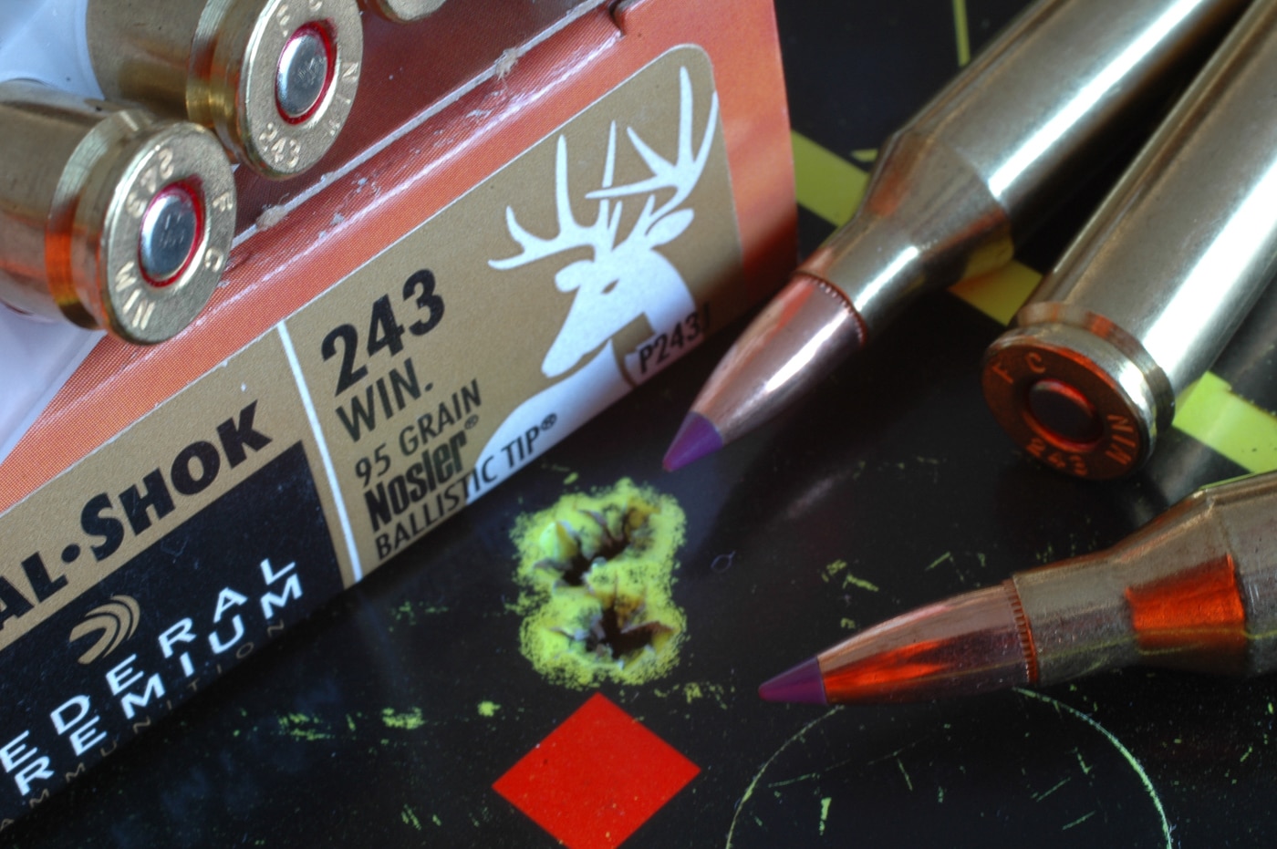 Federal 243 Win ammo with target