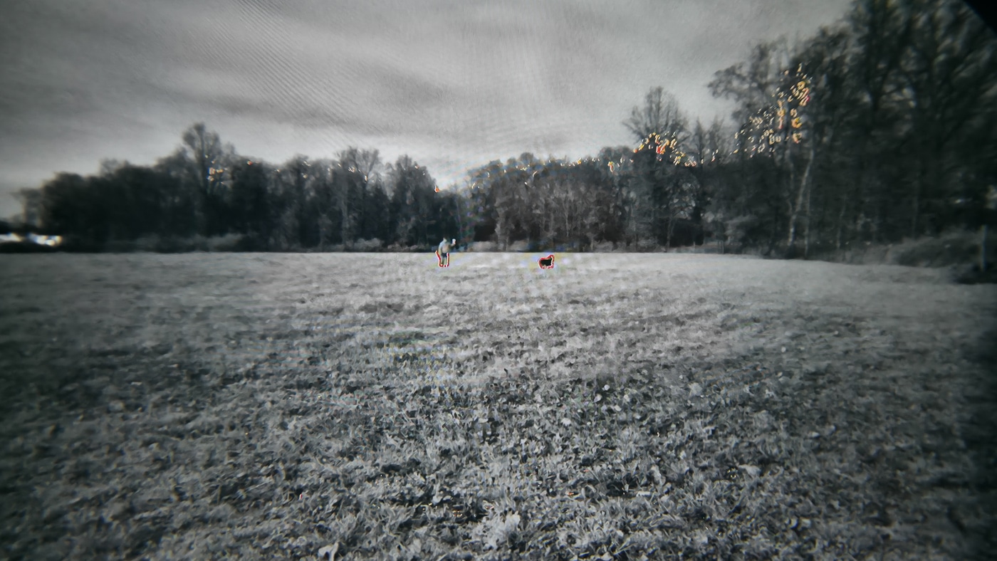 Display screen capture from the Shinenyx G1A showing a human-sized target at 50 yards with clear thermal outline and visible details through the fused night vision overlay. The Shinenyx G1A review documents identification performance at various distances. Fifty yards provides positive identification capability reliably. Target definition improves significantly at closer ranges. Shinenyx night vision gear delivers precise thermal outlining. Clearer identification reduces misidentification risks substantially. Thermal fusion reveals both heat and context. The G1A excels at near to mid-range detection. Digital sensors provide superior image clarity.