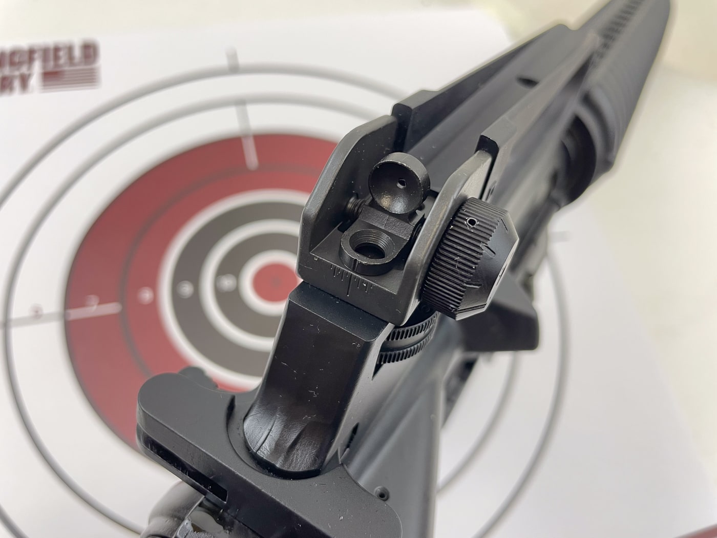 rear aperture sight on AR-15