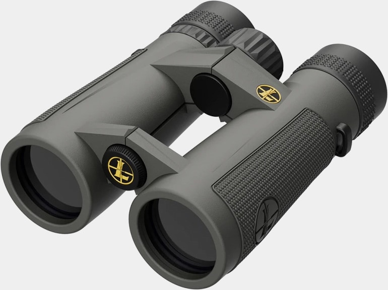 Leupold BX-5 Santiam HD 10x42mm Binocular