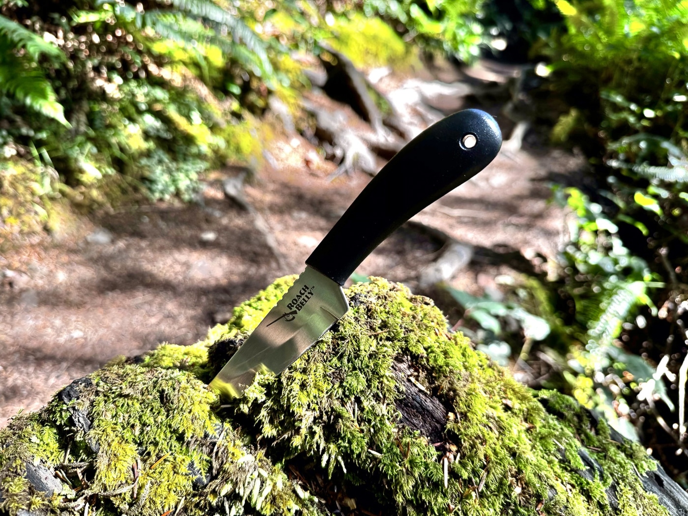 Cold Steel Roach Belly knife in the woods during testing for this review