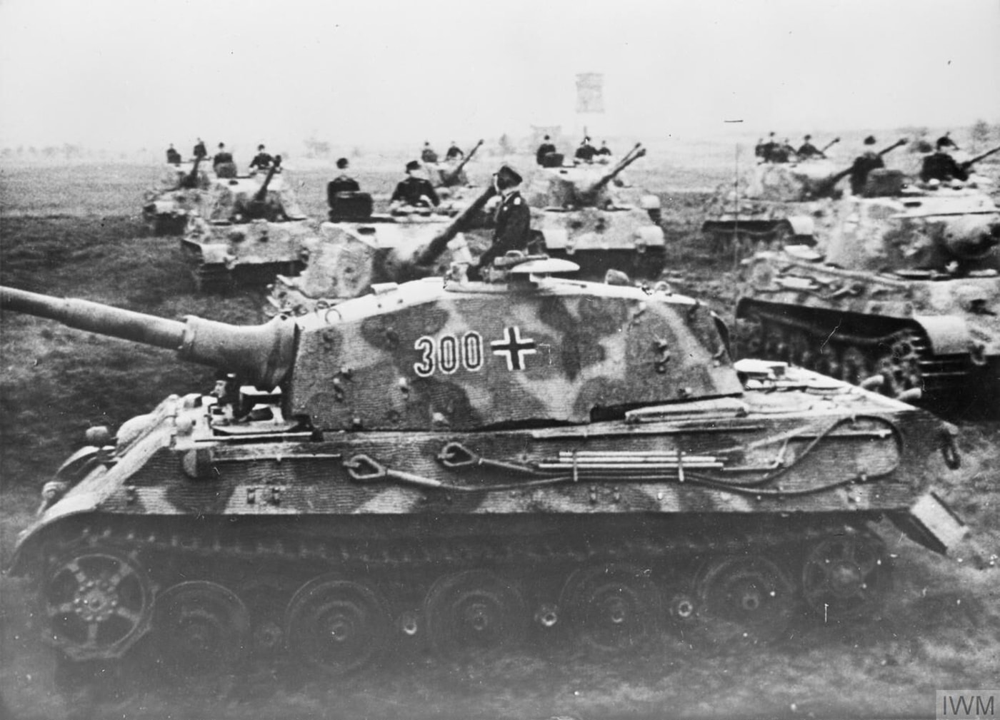 Tigers II tanks reviewed