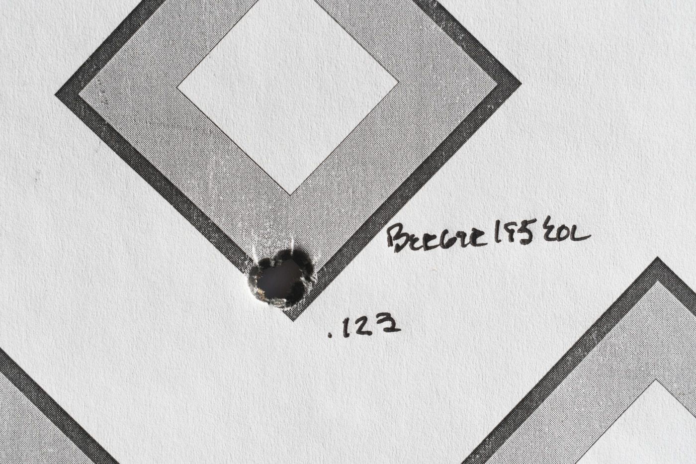 ammunition accuracy of custom Berger 195 grain