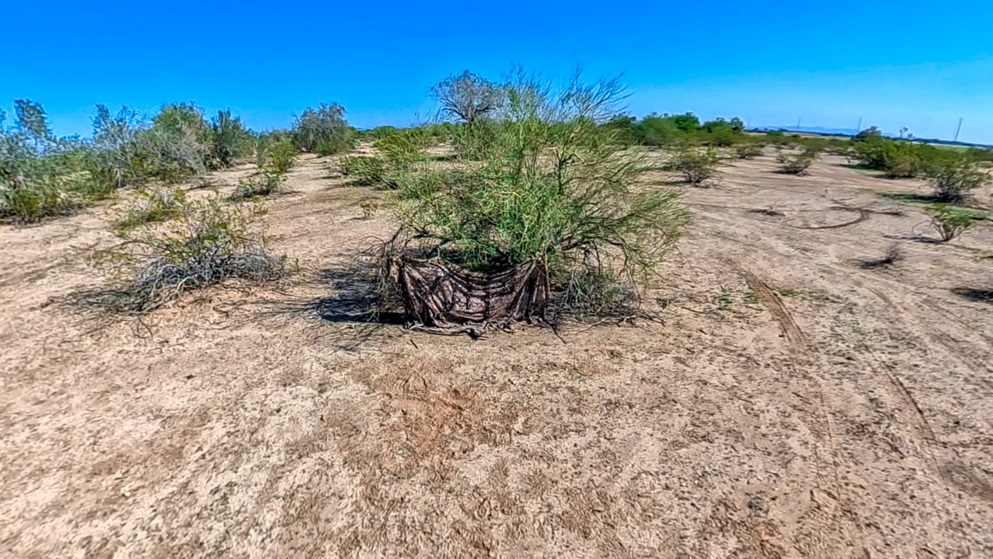 concealed Starlink Mini reviewed in the desert